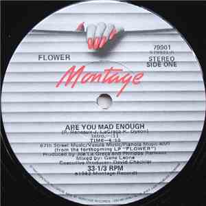 Flower  - Are You Mad Enough / New York download flac
