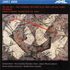 James Wood , Critical Band, New London Chamber Choir, Steven Schick, Kuniko Kato - Two Men Meet, Each Presuming The Other To Be From A Distant Planet / Phainomena / Venancio Mbande Talking With The Trees download flac
