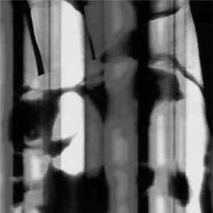 onYou - Follow The Music, Follow The Light download flac