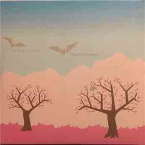 Various - Pretty Activity - 2006 Sampler download flac