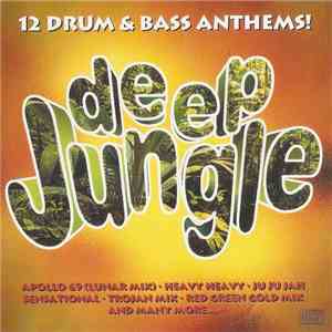 Various - Deep Jungle - 12 Drum & Bass Anthems download flac