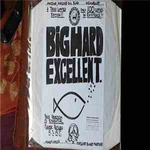 Big Hard Excellent Fish - Imperfect List download flac