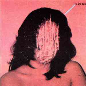 Black Bug - Police Helicopter download flac