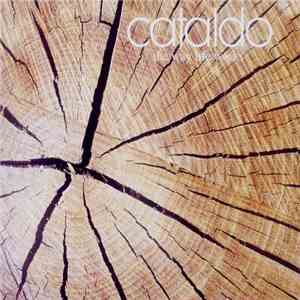 Cataldo - The Way Life Works download flac