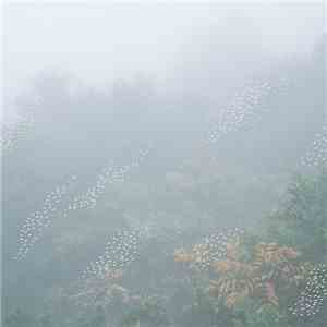 Chihei Hatakeyama - Mist download flac