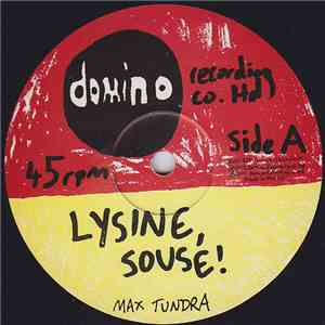 Max Tundra - Lysine download flac