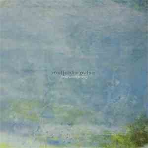 Moljebka Pvlse - Irdlirvirisissong download flac