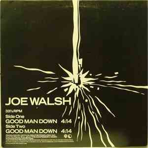 Joe Walsh - Good Man Down download flac