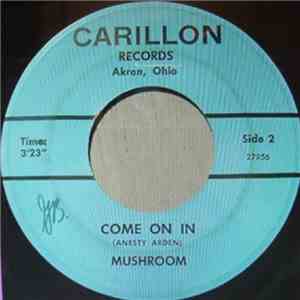 Mushroom  - I Could Send You Flowers download flac