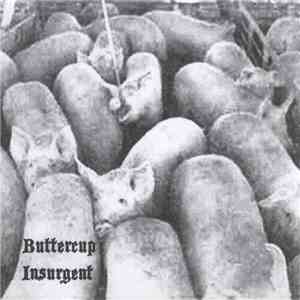 Buttercup Insurgent - Buttercup Insurgent download flac