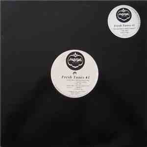 Fresh Tunes - #1 - Do You Know What I Mean? download flac