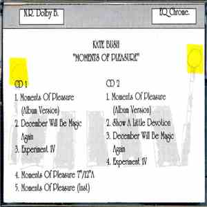 Kate Bush - Moments Of Pleasure download flac