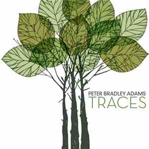 Peter Bradley Adams - Traces download flac