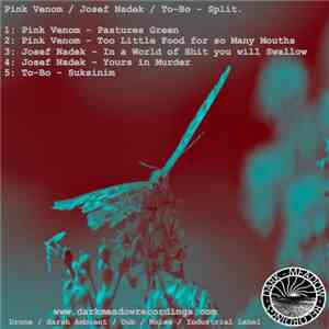 Pink Venom / Josef Nadek / To-Bo - Split download flac