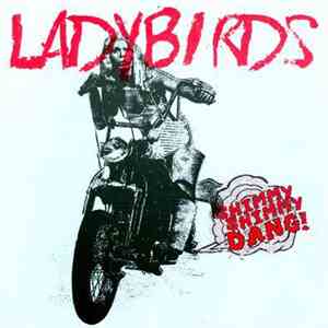 The Ladybirds  - Shimmy Shimmy Dang download flac