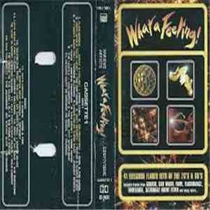 Various - What A Feeling! download flac