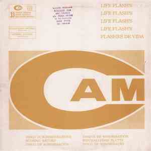 Dan Seepers - Life Flash's download flac