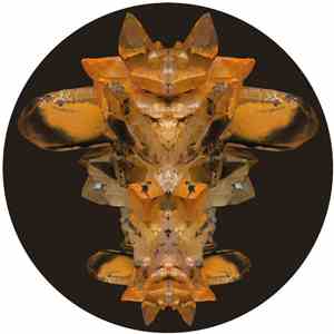 DLR , Nymfo , Need For Mirrors & HLZ - Totem / Novate download flac