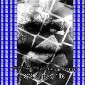 environmental sound collapse - Aches Burns & Split Lips download flac