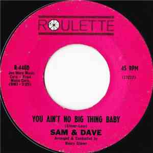 Sam & Dave - You Ain't No Big Thing Baby / It Was So Nice While It Lasted download flac
