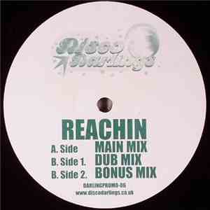 Disco Darlings - Reachin download flac
