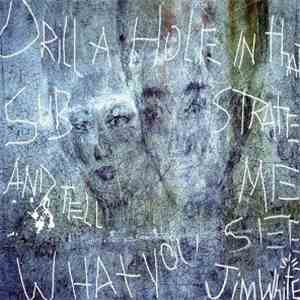 Jim White - Drill A Hole In That Substrate And Tell Me What You See download flac