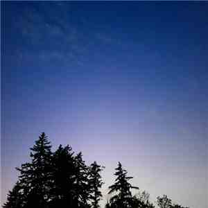 Martin Nonstatic - Autumn Movement FLAC album