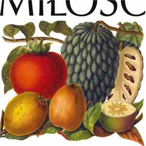 Miłość  - Miłość download flac