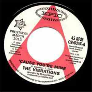 The Vibrations - 'Cause You're Mine download flac