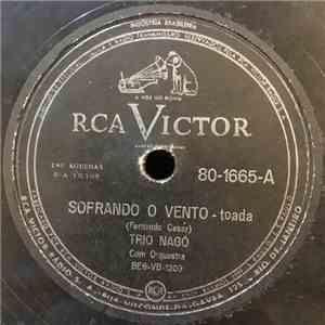 Trio Nagô Com Orquestra - Soprando O Vento download flac