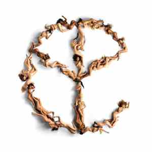 Yellow Claw - Blood For Mercy download flac