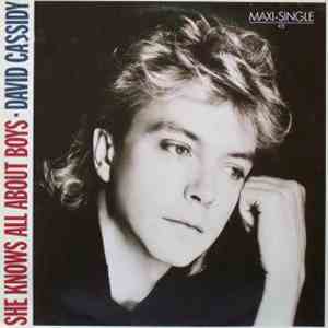 David Cassidy - She Knows All About Boys download flac