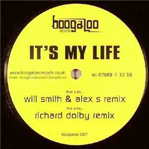 Unknown Artist - It's My Life download flac