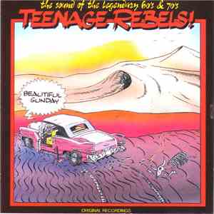 Various - Beautiful Sunday download flac