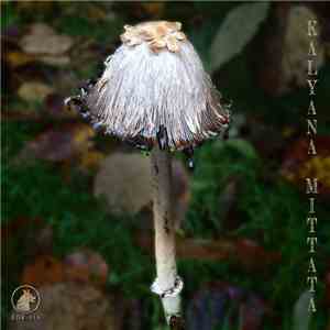 Duff Egan - Kalyana Mittata download flac