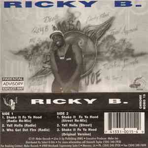 Ricky B. - Shake It Fo Ya Hood - Remix download flac