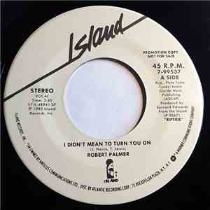 Robert Palmer - I Didn't Mean To Turn You On FLAC album