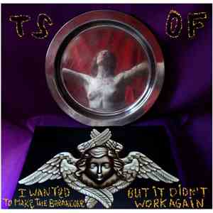 The Sound Of The Fox - I Wanted To Make Breakcore But It Didnt Work Again FLAC album