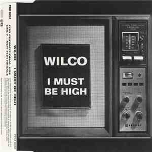 Wilco - I Must Be High download flac