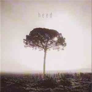 Ginkgo Dawn Shock - Heed download flac