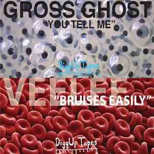 Gross Ghost / Veelee - You Tell Me / Bruises Easily download flac