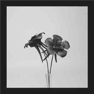 Jlin - Dark Lotus download flac