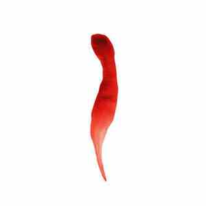 Ambivalent - Rumors download flac