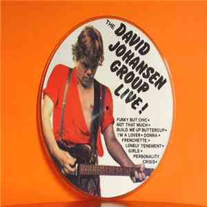 David Johansen Group - The David Johansen Group Live download flac