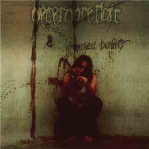 Décembre Noir - A Discouraged Believer download flac