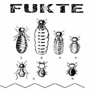 Fukte - Nitropentadecene download flac