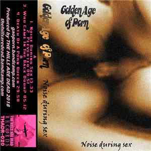Golden Age Of Porn - Noise During Sex download flac