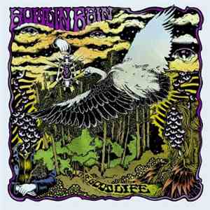 Howlin Rain - The Good Life download flac