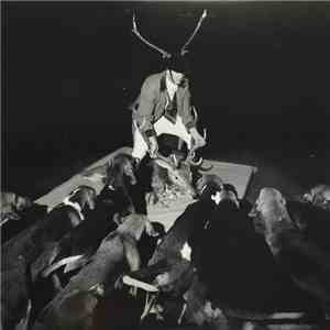 Les Marquises - A Night Full Of Collapses download flac