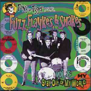 Various - Fuzz, Flaykes, & Shakes Vol. 3: Stay Out Of My World download flac